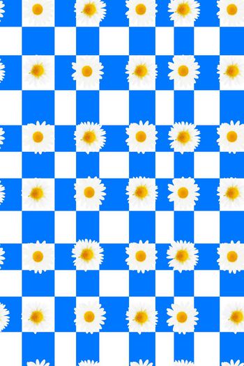 369724-雏菊几何纹05