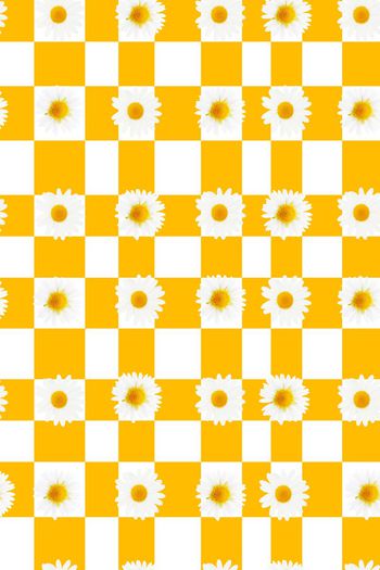 369725-雏菊几何纹05