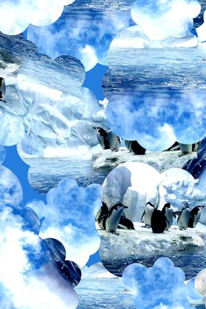 企鹅印花华亿平台图片