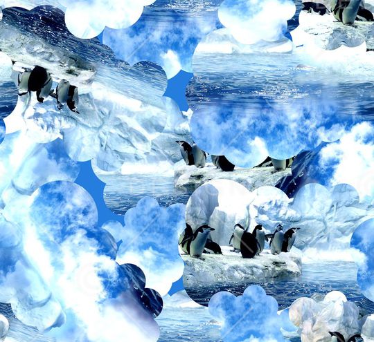 企鹅印花华亿平台图片