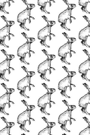 动物印花华亿平台图片