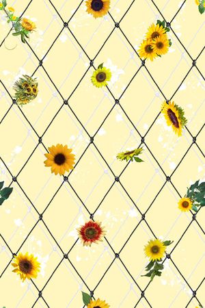 清新印花华亿平台图片