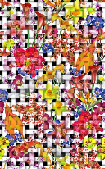 370016-编织条纹藤编竹编花卉色组合FA-W