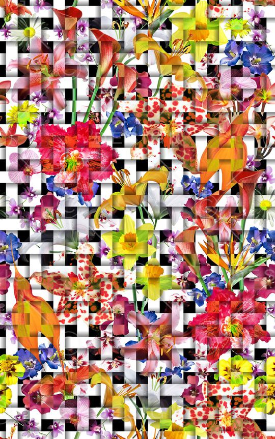 编织印花华亿平台图片