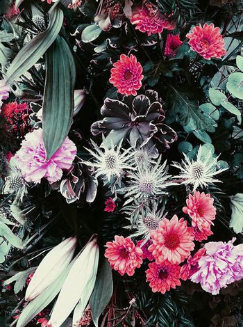 370088-做旧效果满版田园花卉