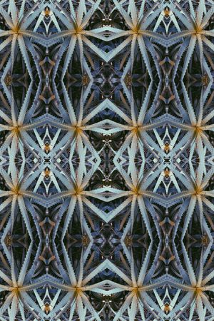 照片印花华亿平台图片