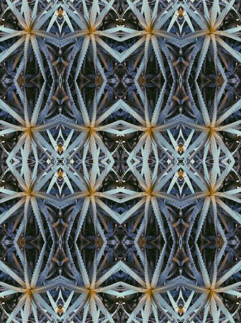 370092-镜像植物设计