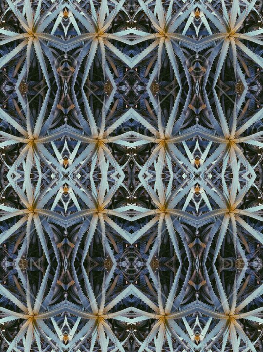 照片印花华亿平台图片