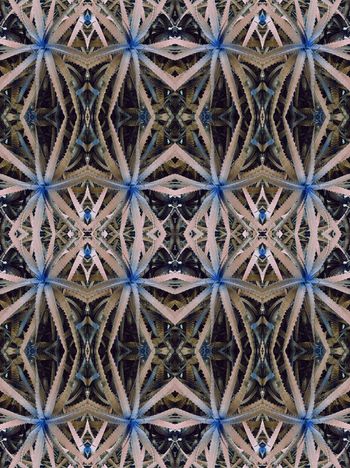 370093-镜像植物设计