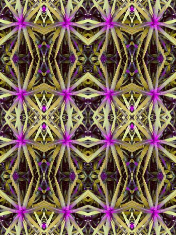 370094-镜像植物设计