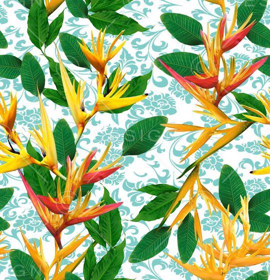 天堂鸟印花华亿平台图片