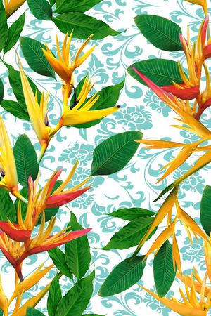 天堂鸟印花华亿平台图片