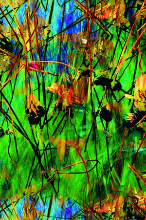 抽象印花华亿平台图片