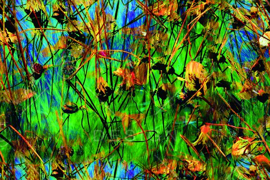 抽象印花华亿平台图片