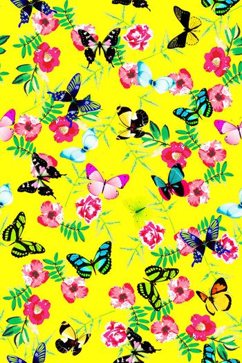 370251-蝴蝶手绘花纹