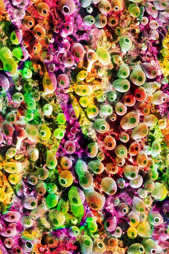 彩色 抽象 图案印花华亿平台图片