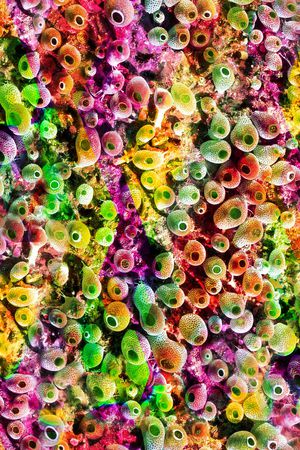 彩色 抽象 图案印花华亿平台图片