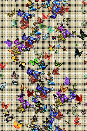 动物印花华亿平台图片