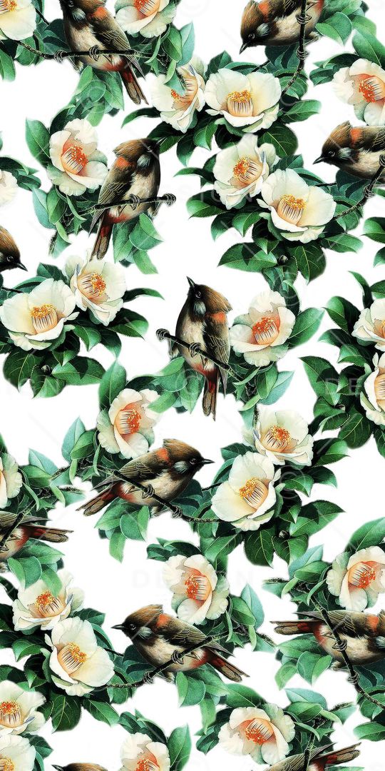 时尚印花华亿平台图片