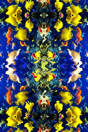 女装印花华亿平台图片