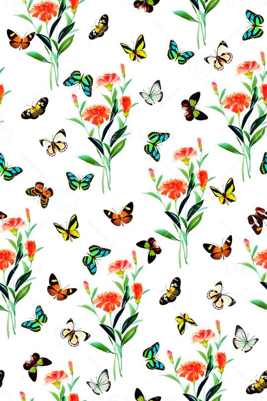 蝴蝶印花华亿平台图片