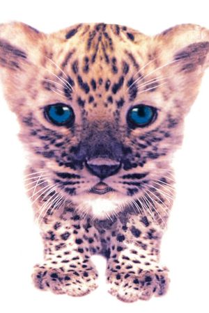 T恤印花华亿平台图片