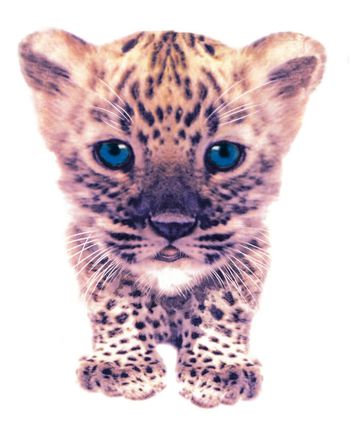 T恤印花华亿平台图片