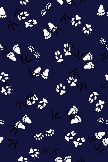 370717-简洁大气男装