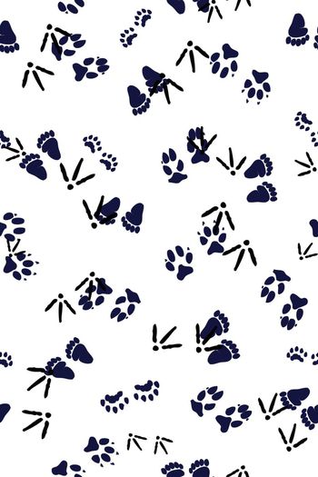 370718-简洁大气男装