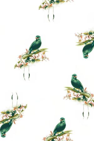 百鸟图印花华亿平台图片