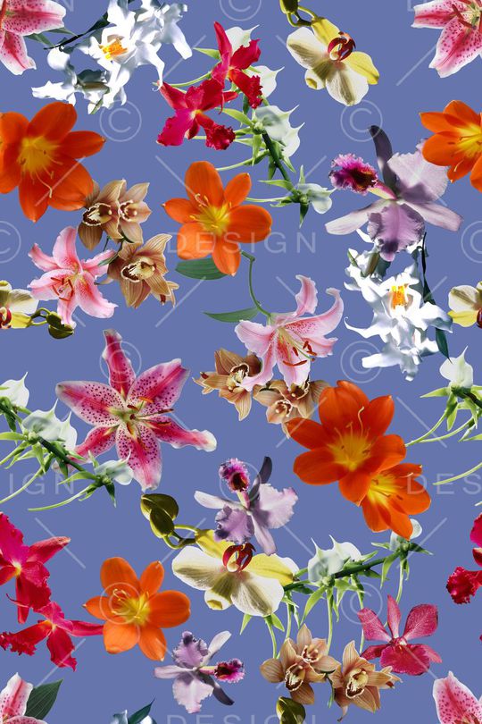 立体印花华亿平台图片