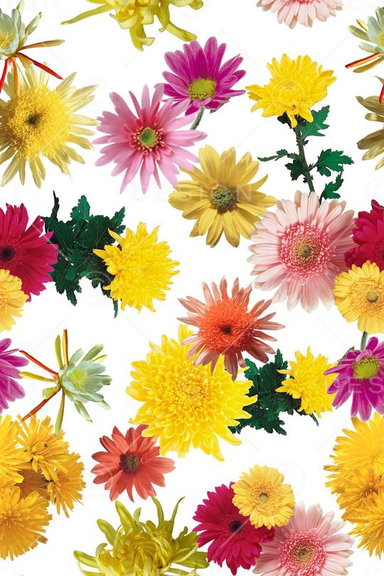 立体印花华亿平台图片