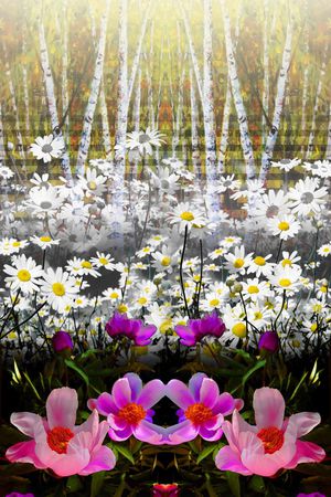 定位印花华亿平台图片