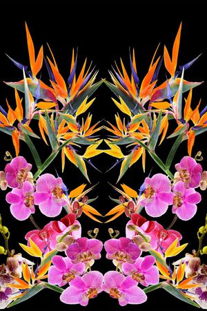 流行数码印花华亿平台图片