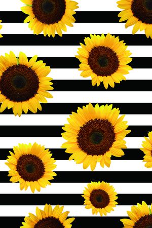 黑白条加花印花华亿平台图片