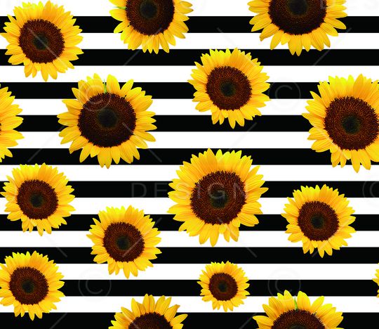 黑白条加花印花华亿平台图片