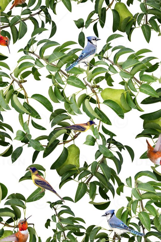 树枝印花华亿平台图片