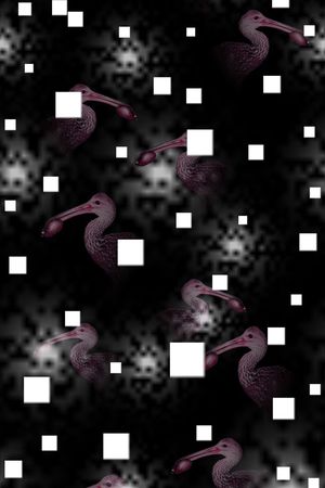 动物印花华亿平台图片