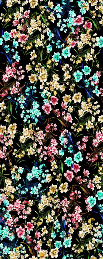 371191-090301-a 多彩水仙花