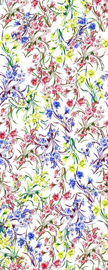 371192-多彩水仙花