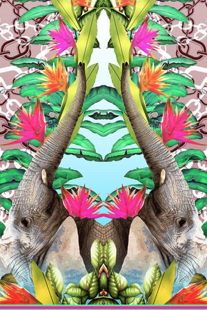 大象定位印花华亿平台图片