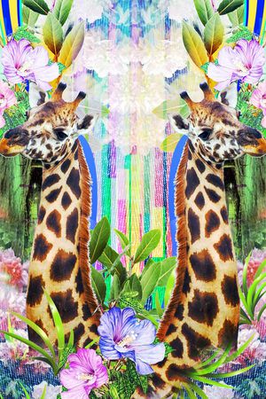 动物定位印花华亿平台图片