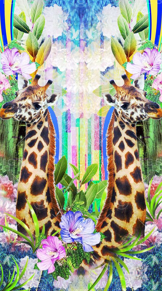 动物定位印花华亿平台图片