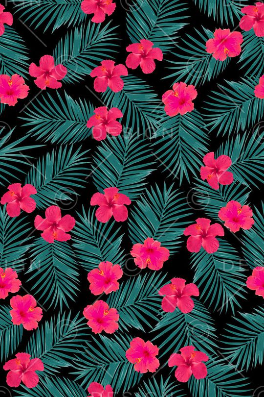 棕榈叶印花华亿平台图片