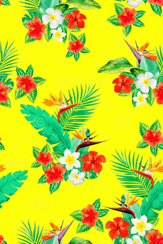 热带植物印花华亿平台图片