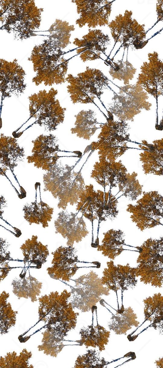 树印花华亿平台图片