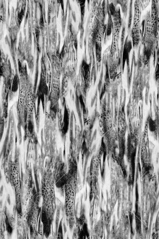 休闲印花华亿平台图片