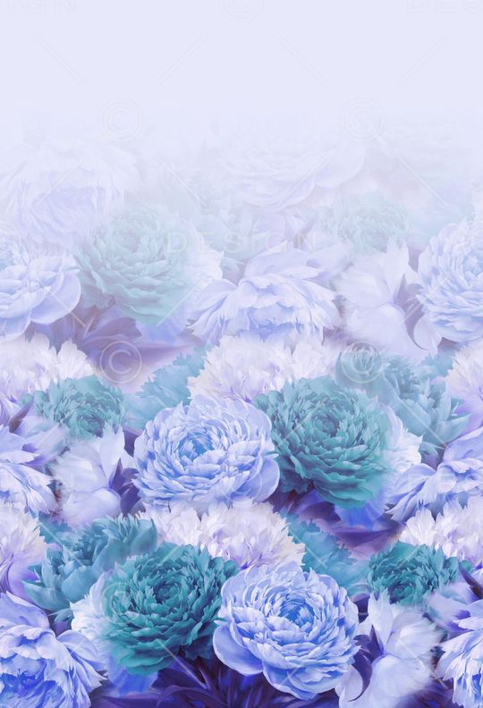 唯美印花华亿平台图片