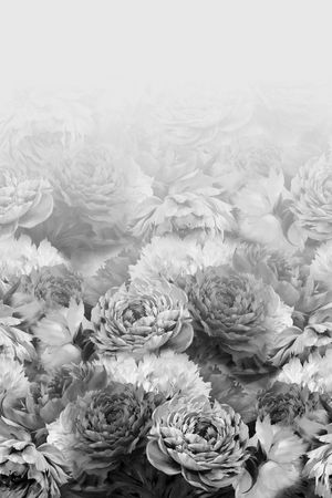 唯美印花华亿平台图片