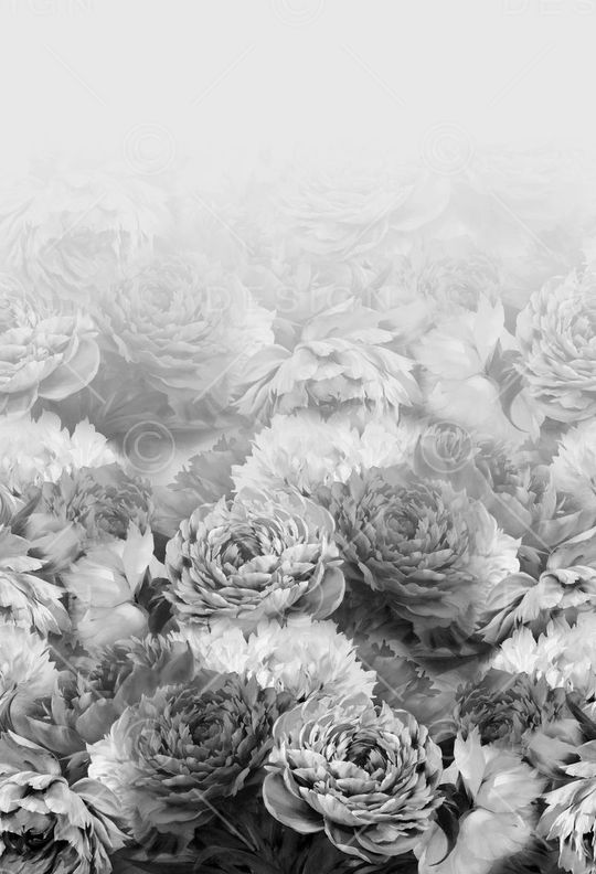 唯美印花华亿平台图片